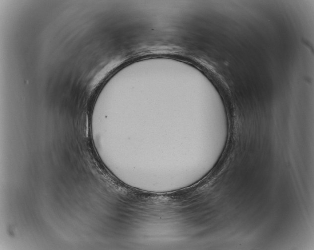 X0000099481317200806061235