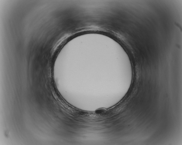X0000099481318200806061235