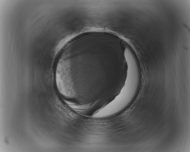 X0000099481319200806061235