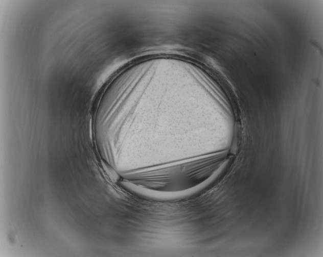 X0000099481320200806061235