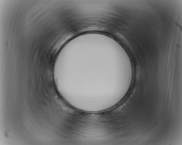 X0000099481321200806061235