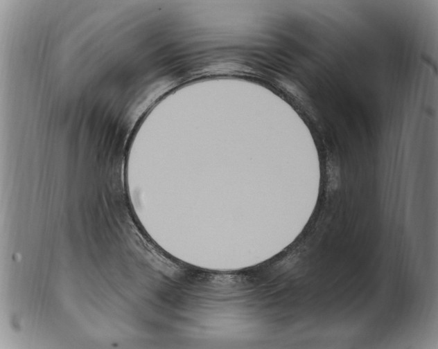 X0000099481322200806061235