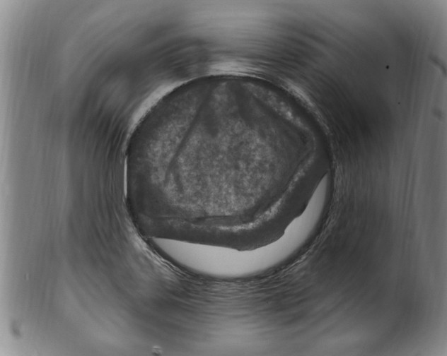 X0000099481323200806061235
