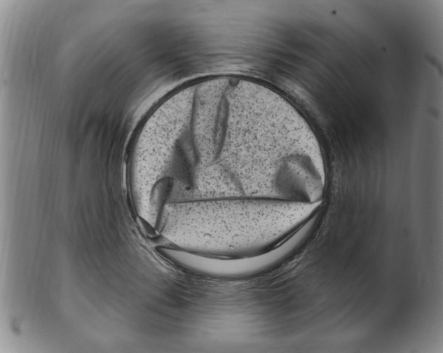 X0000099481324200806061235