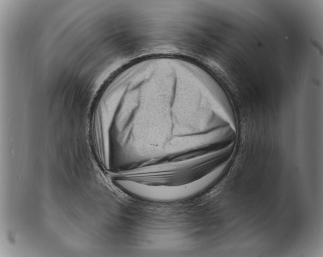 X0000099481326200806061235
