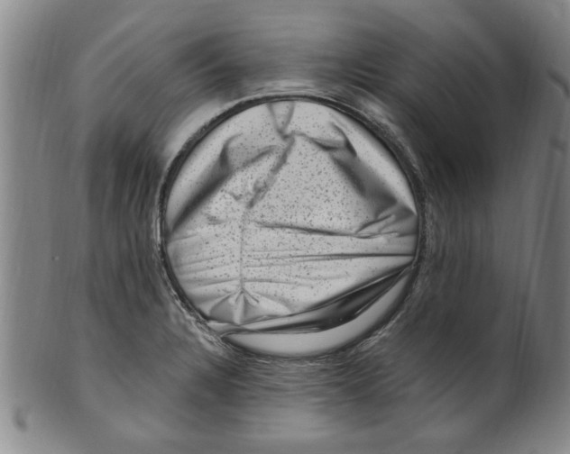 X0000099481328200806061235