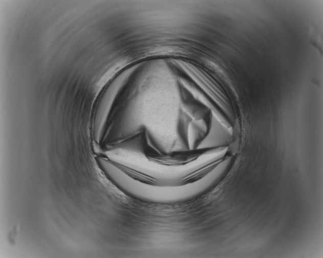 X0000099481330200806061235
