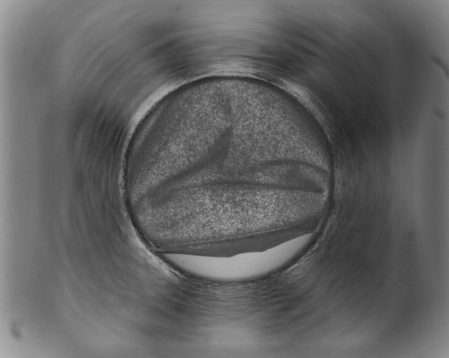 X0000099481331200806061235