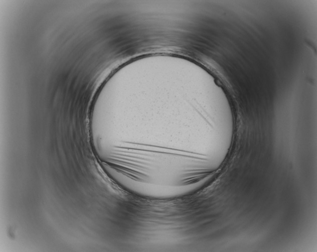 X0000099481332200806061235