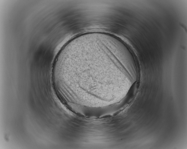 X0000099481333200806061236
