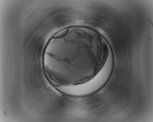 X0000099481334200806061236