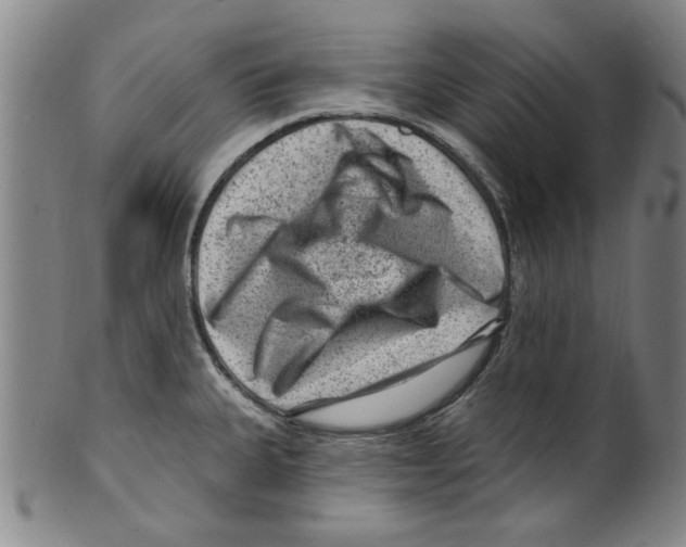 X0000099481335200806061236