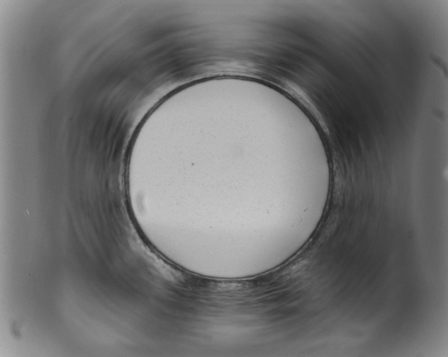 X0000099481339200806061236