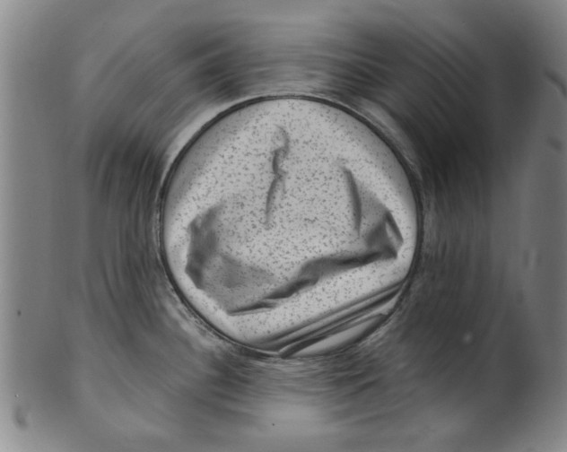 X0000099481340200806061236