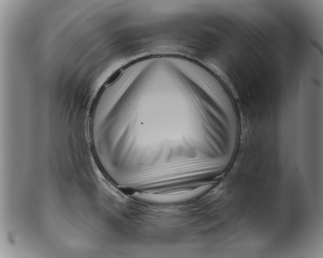 X0000099481342200806061236