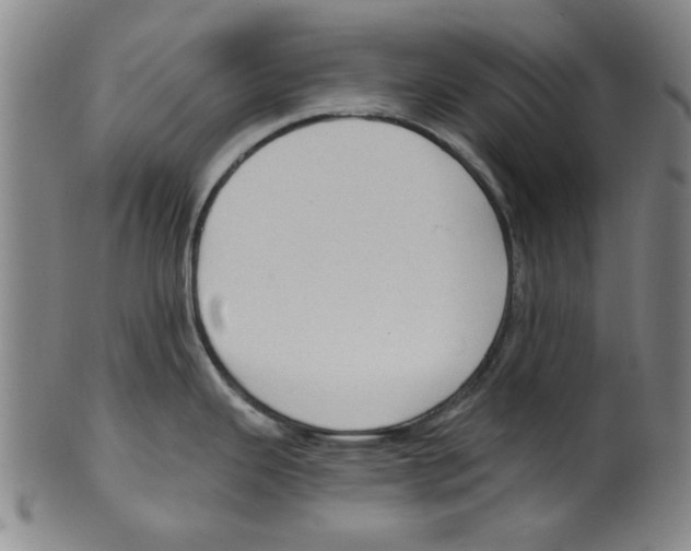 X0000099481343200806061236