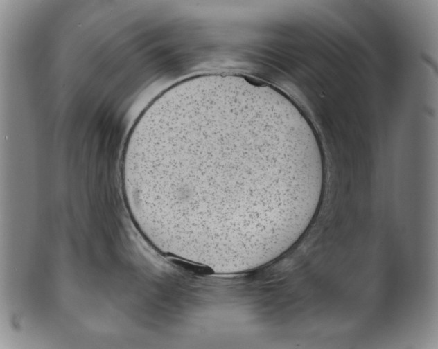 X0000099481344200806061236