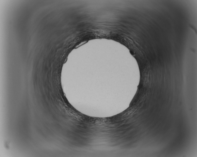 X0000099481345200806061235