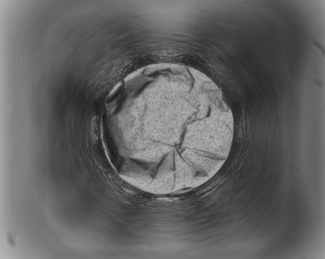 X0000099481346200806061235