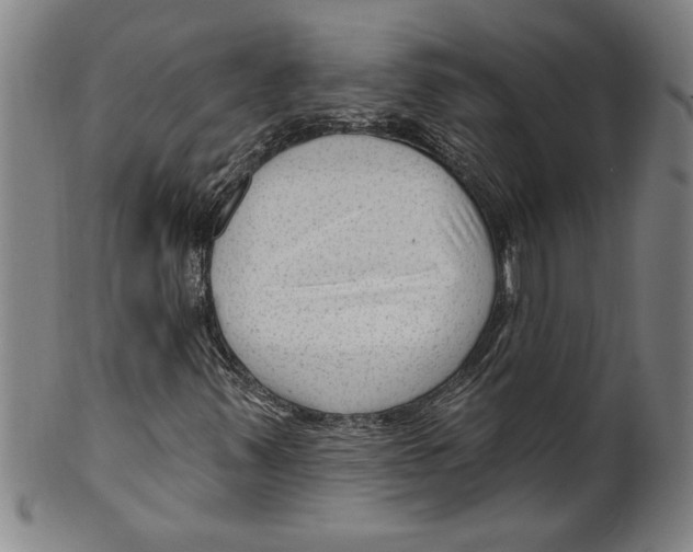 X0000099481347200806061235