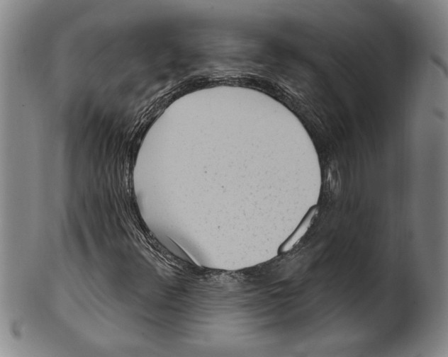 X0000099481348200806061235