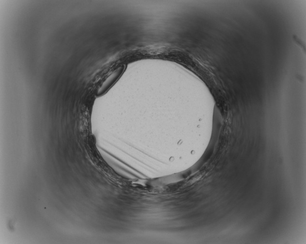 X0000099481349200806061235