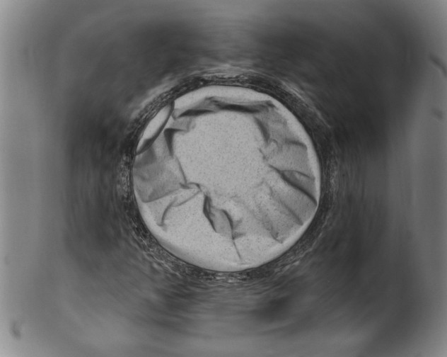 X0000099481350200806061235