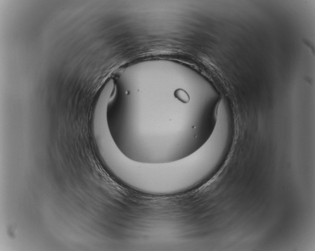 X0000099481353200806061235