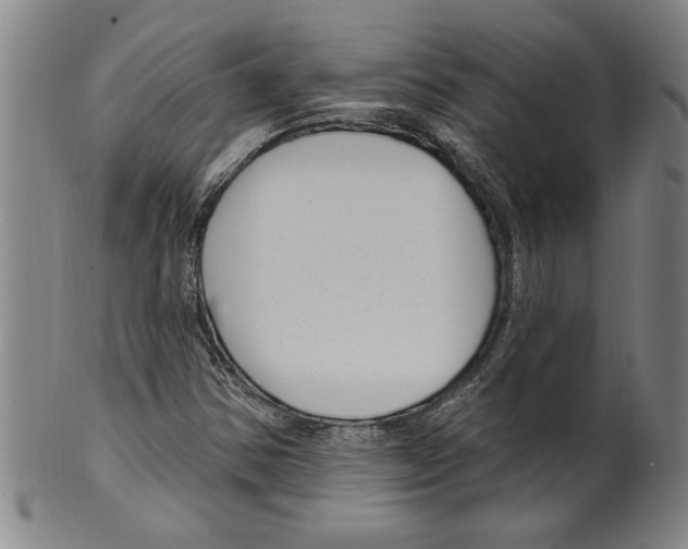 X0000099481354200806061235