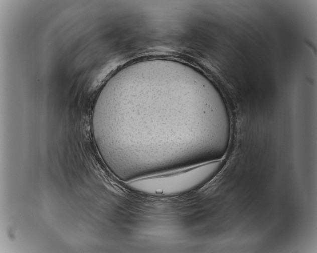 X0000099481355200806061235