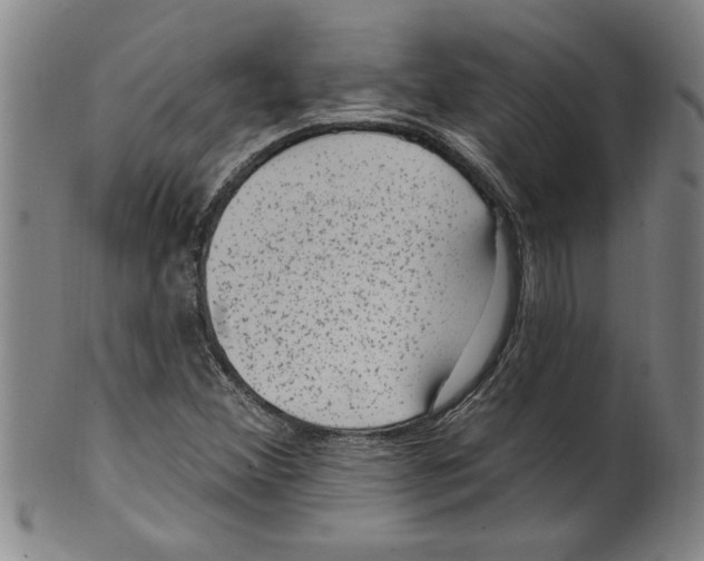 X0000099481356200806061235