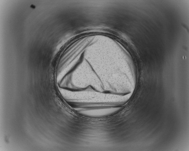 X0000099481360200806061235