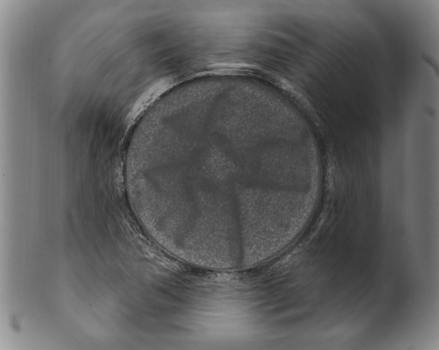 X0000099481362200806061235