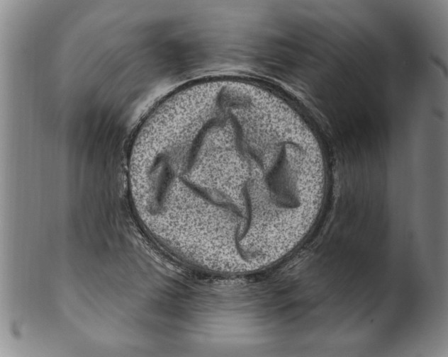 X0000099481363200806061235