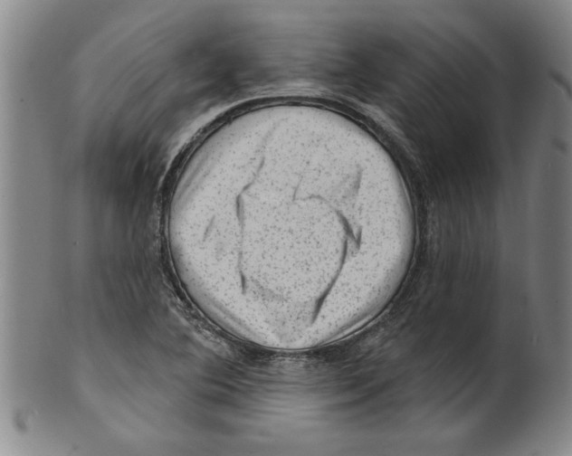 X0000099481364200806061235