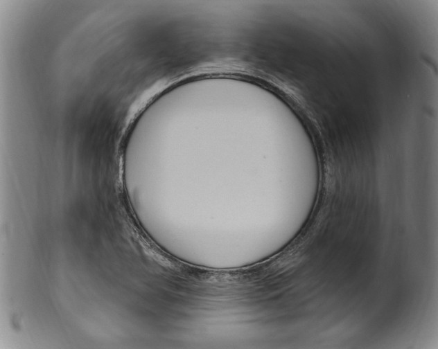 X0000099481366200806061235