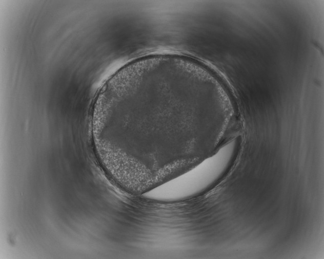 X0000099481367200806061235
