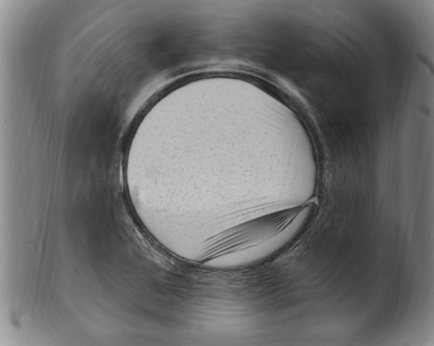 X0000099481368200806061235