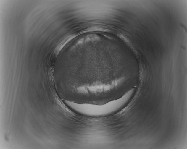X0000099481369200806061234