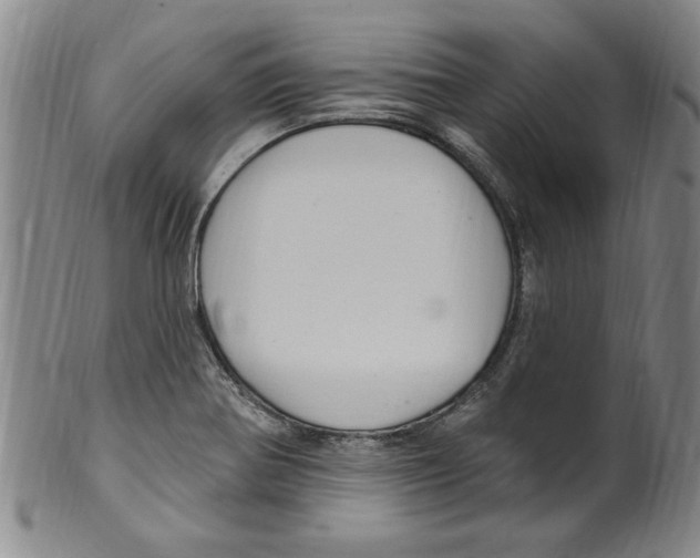 X0000099481370200806061234