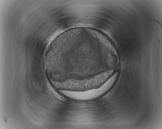 X0000099481371200806061234