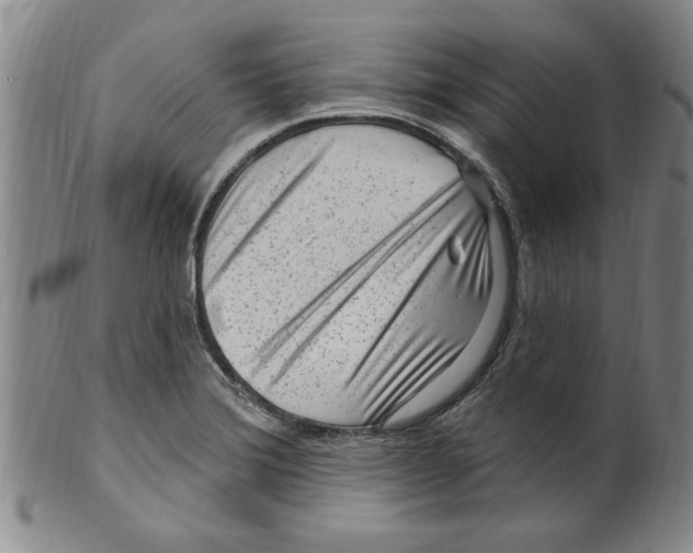 X0000099481372200806061234