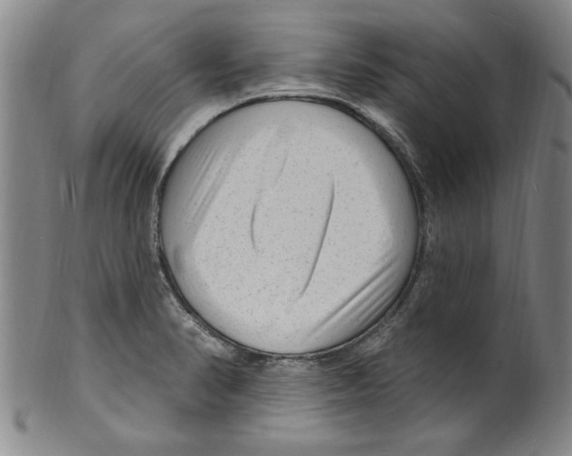 X0000099481374200806061234