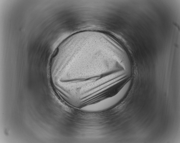 X0000099481375200806061234