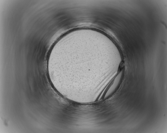 X0000099481376200806061234