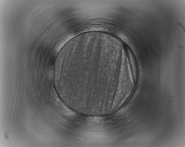 X0000099481377200806061234