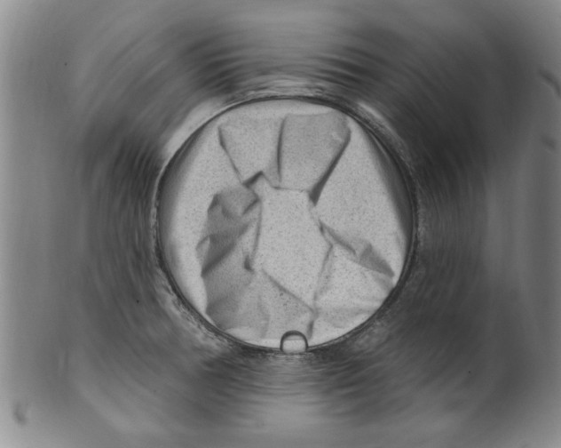 X0000099481378200806061234