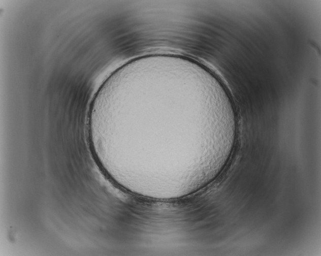 X0000099481379200806061234