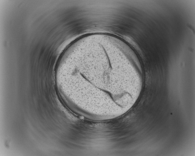 X0000099481380200806061234