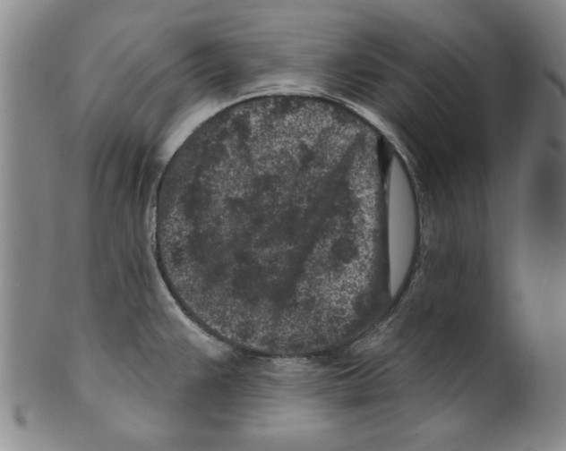 X0000099481383200806061234